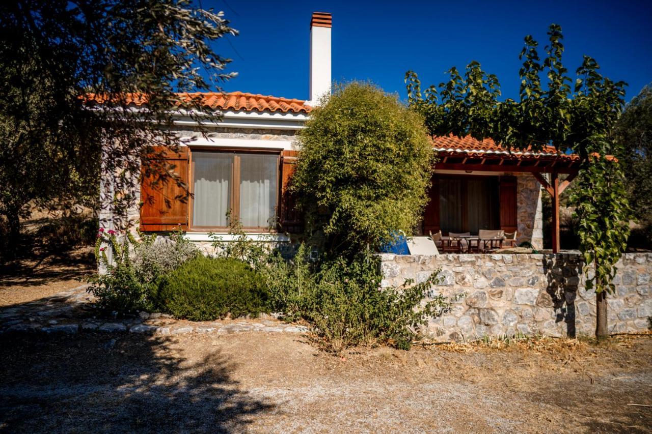 Seafront Traditional Stone House In Sunset Olive Grove - B Alyfanta المظهر الخارجي الصورة